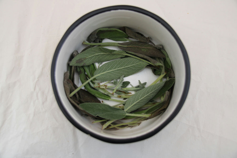 Herbal Consult